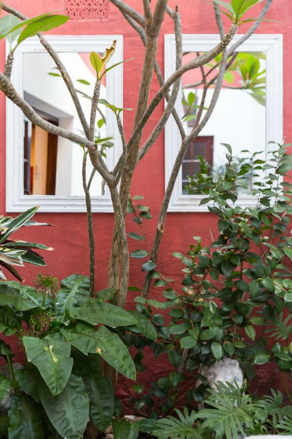 Central Cape Town, Stylish Home, With Private Courtyard エクステリア 写真